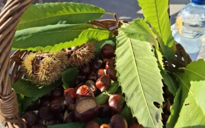 Održan 21. Susret starodobnih automobila – „Marunada“